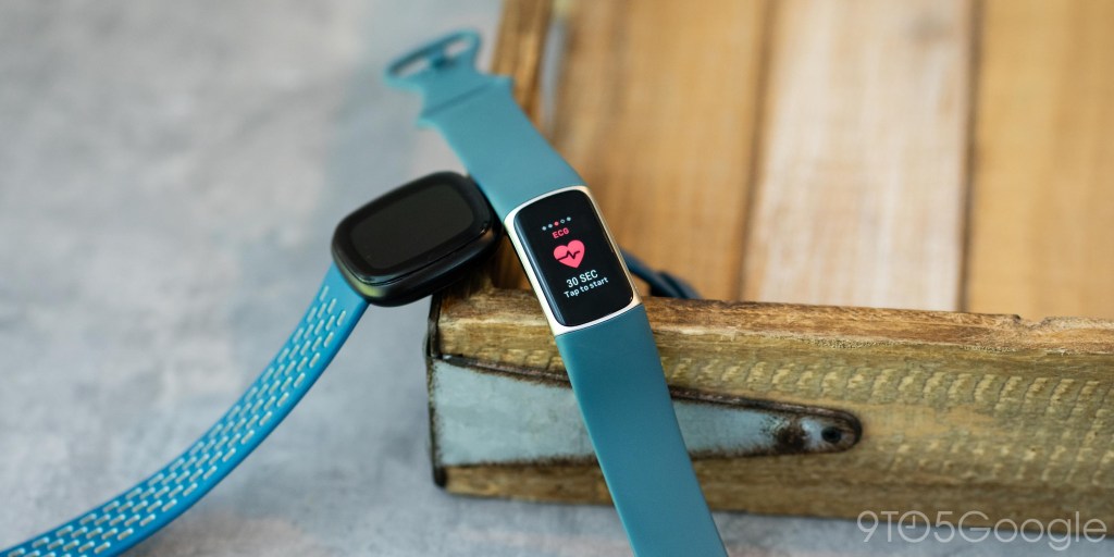 fitbit charge 5 ecg app heart